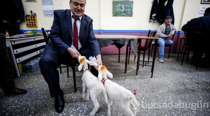 İkiz kuzulara "bebek gibi" bakıyor
