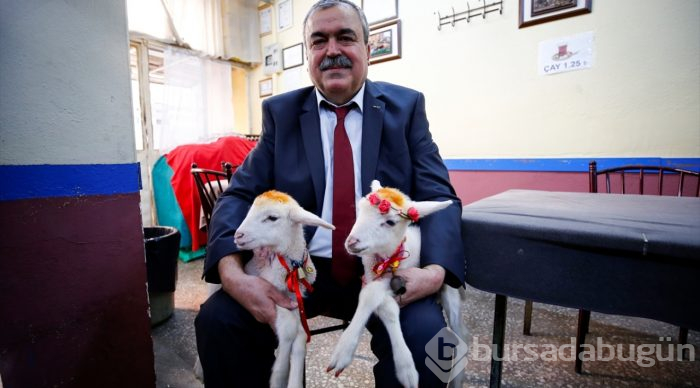İkiz kuzulara "bebek gibi" bakıyor
