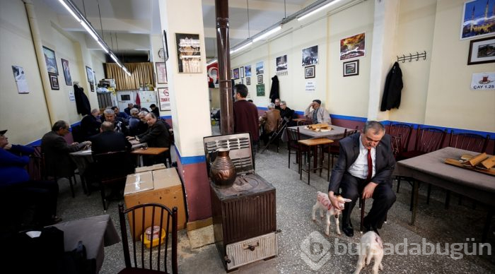 İkiz kuzulara "bebek gibi" bakıyor
