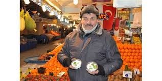 Erik kilosu 500 liradan tezgaha çıktı