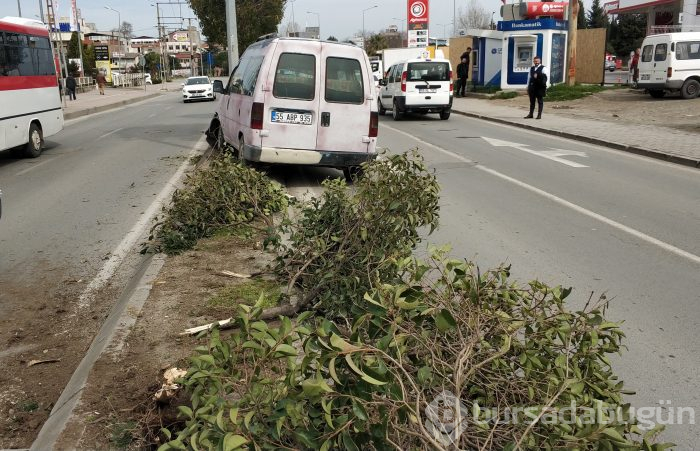 Ağaçları devirdi, aydınlatma direğine çarparak durabildi: 1 yaralı
