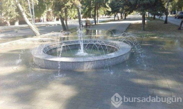 Günün en çok paylaşılan fotoğrafları
