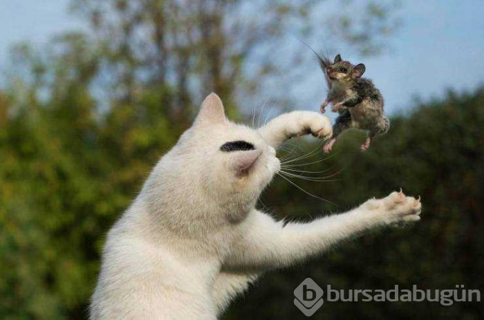 Günün en çok paylaşılan fotoğrafları

