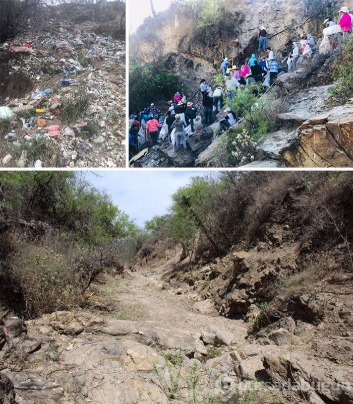 Çöp toplama meydan okumasına (#Trashtag Challange) ait en iyi örnekler