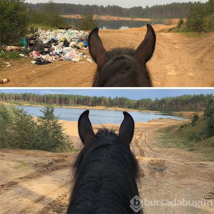 Çöp toplama meydan okumasına (#Trashtag Challange) ait en iyi örnekler