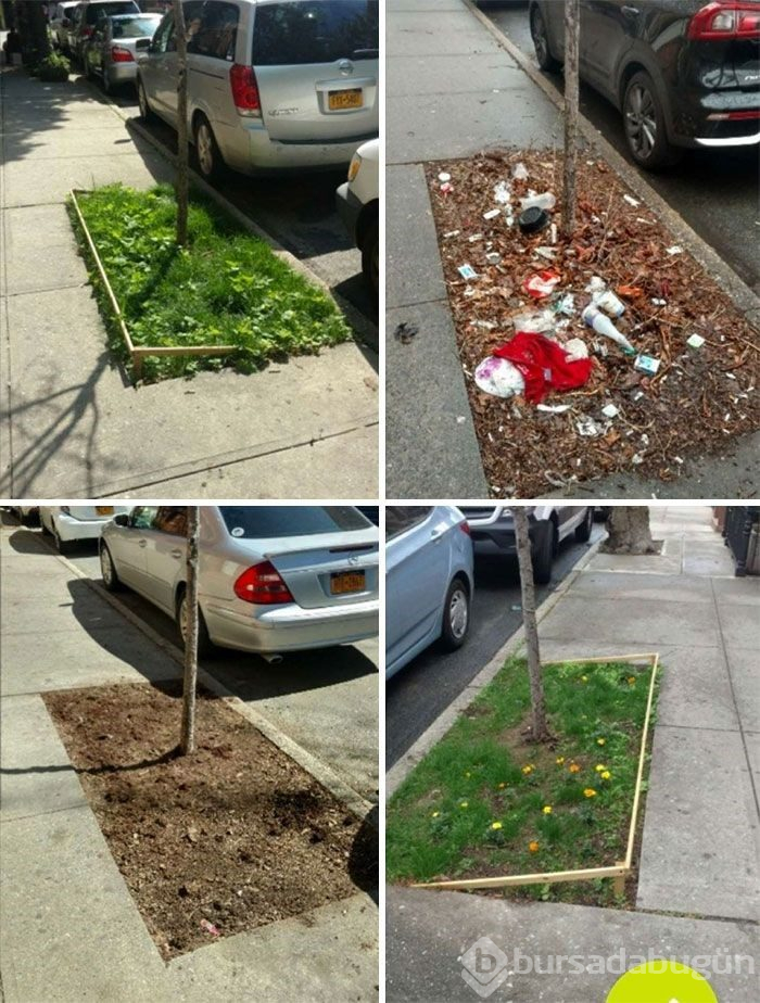 Çöp toplama meydan okumasına (#Trashtag Challange) ait en iyi örnekler