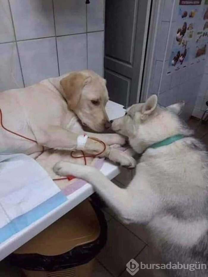 Günün en çok paylaşılan fotoğrafları (14.03.2019)