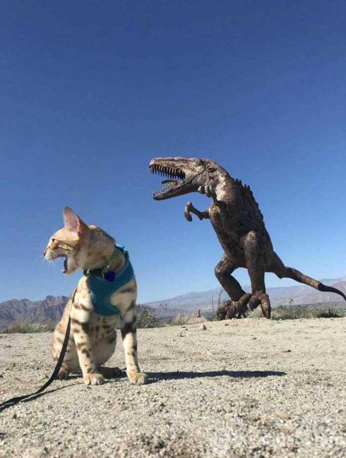Günün en çok paylaşılan fotoğrafları (14.03.2019)