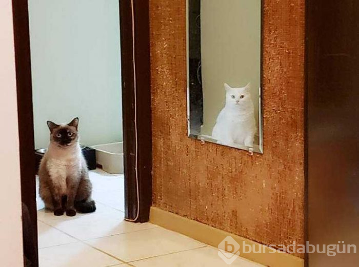 Günün en çok paylaşılan fotoğrafları (14.03.2019)