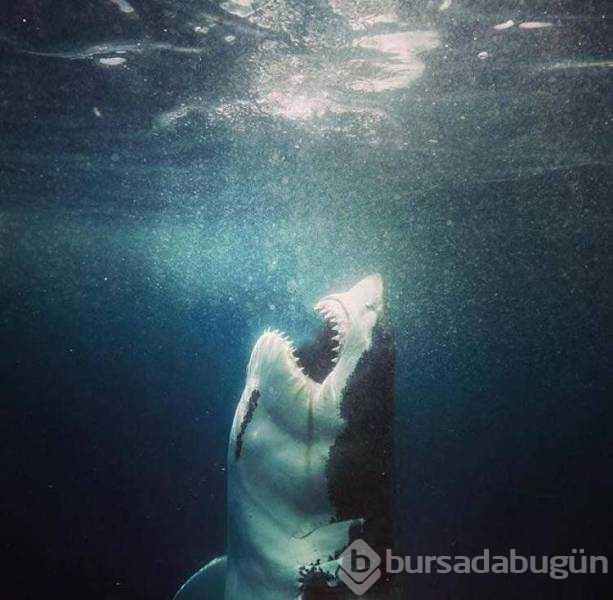 Günün en çok paylaşılan fotoğrafları (14.03.2019)