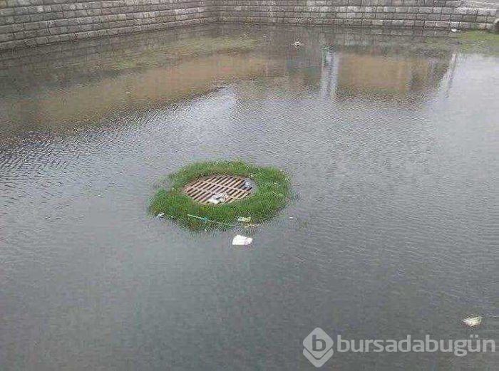 Günün en çok paylaşılan fotoğrafları (14.03.2019)