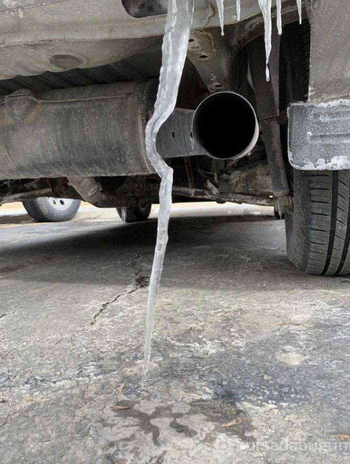 Günün en çok paylaşılan fotoğrafları (14.03.2019)