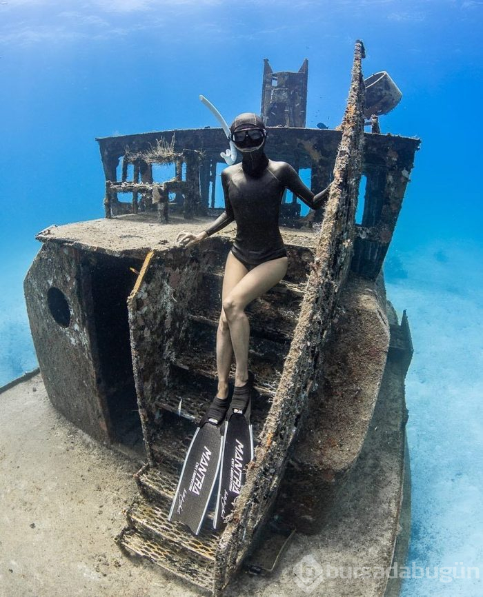 Dalış ustası fotoğrafçının sualtı fotoğrafları