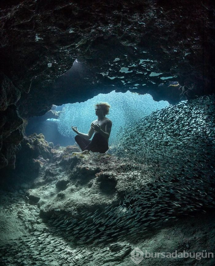 Dalış ustası fotoğrafçının sualtı fotoğrafları