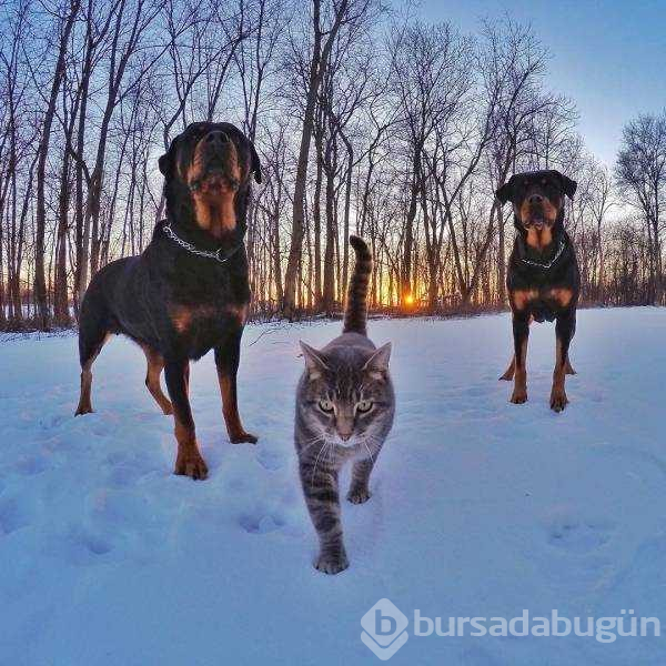 Günün en çok paylaşılan fotoğrafları (15.03.2019)