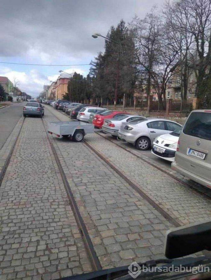 Günün en çok paylaşılan fotoğrafları (15.03.2019)