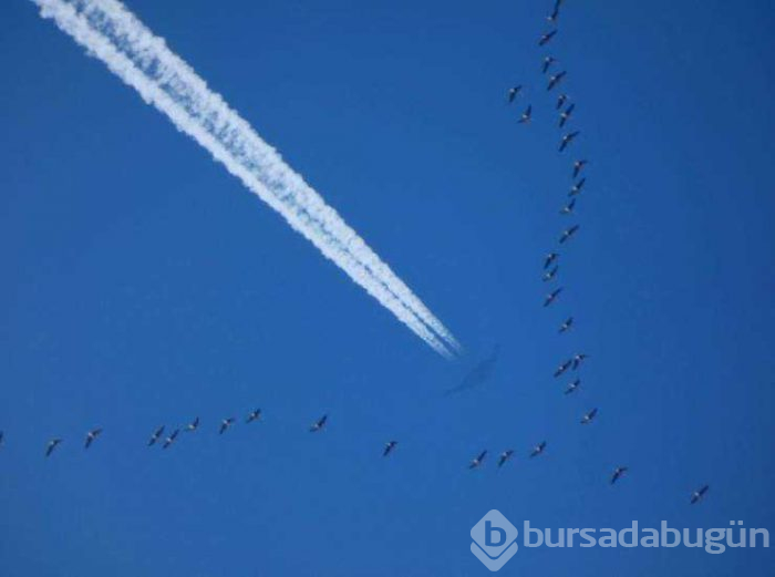 Günün en çok paylaşılan fotoğrafları (15.03.2019)