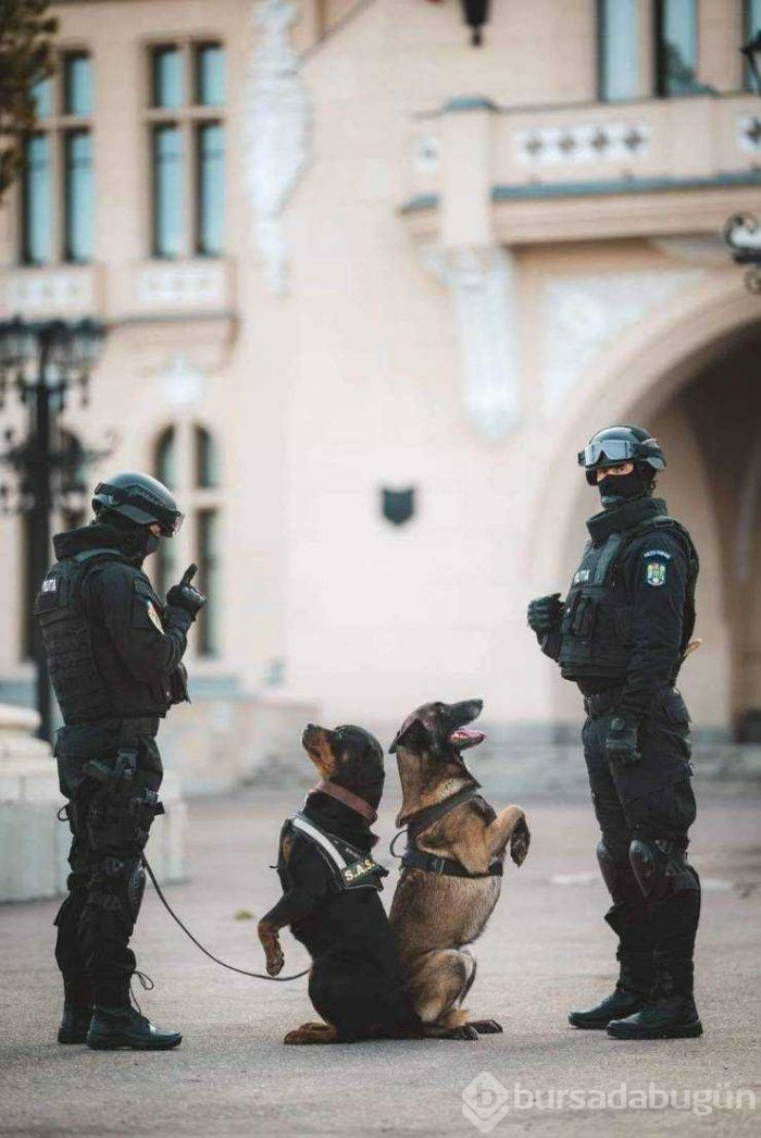 Günün en çok paylaşılan fotoğrafları (15.03.2019)