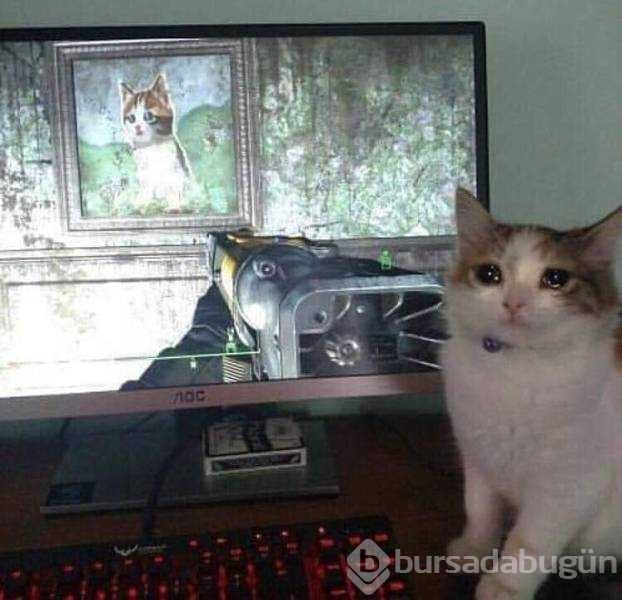 Günün en çok paylaşılan fotoğrafları (15.03.2019)