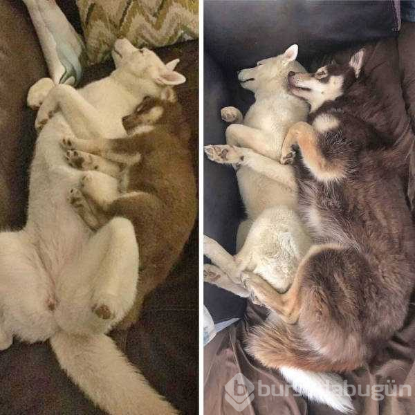 Zamanın hayatımıza etkisi..
