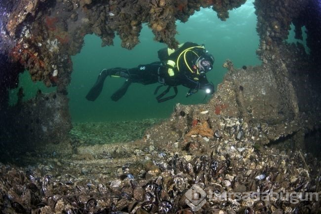 Çanakkale Boğazı'nın batık gemileri dalış turizmine kazandırılıyor