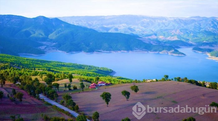 Karadeniz'de yolculuk yeşile dönüyor (Yeşil yol projesi)