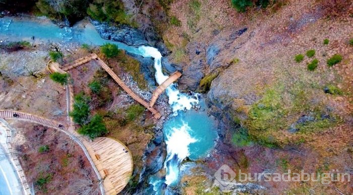 Karadeniz'de yolculuk yeşile dönüyor (Yeşil yol projesi)