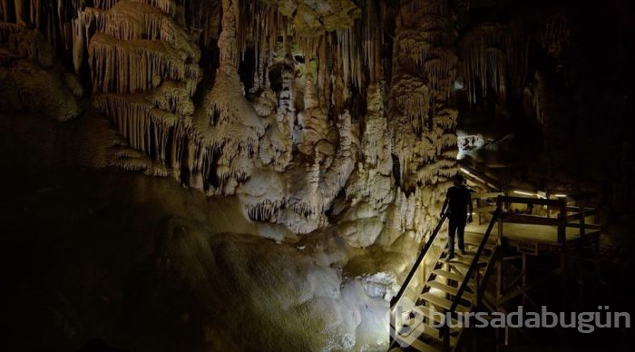 Karadeniz'de yolculuk yeşile dönüyor (Yeşil yol projesi)