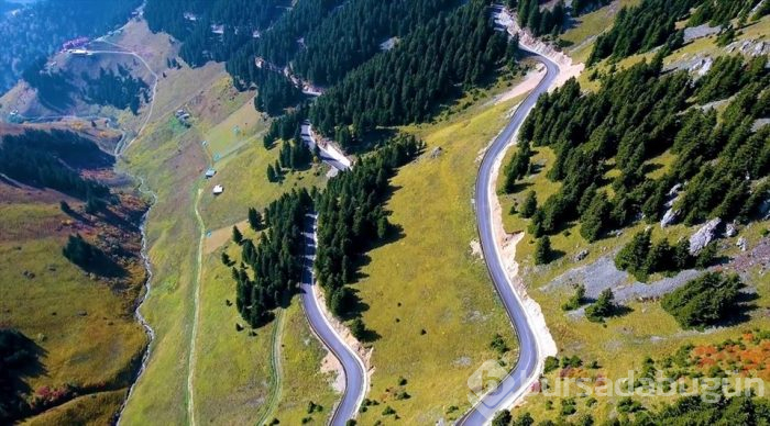 Karadeniz'de yolculuk yeşile dönüyor (Yeşil yol projesi)