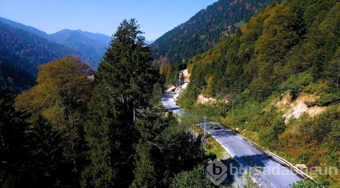 Karadeniz'de yolculuk yeşile dönüyor (Yeşil yol projesi)