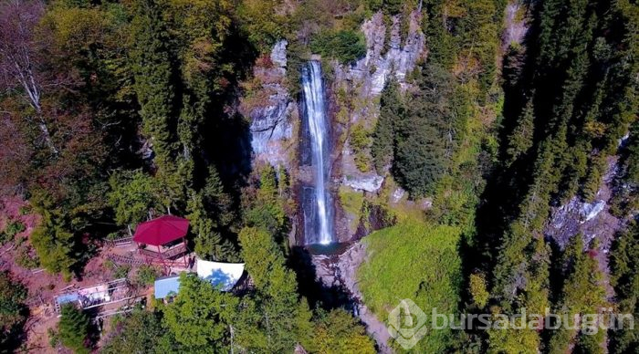 Karadeniz'de yolculuk yeşile dönüyor (Yeşil yol projesi)