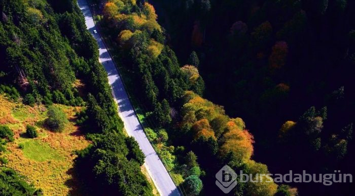 Karadeniz'de yolculuk yeşile dönüyor (Yeşil yol projesi)