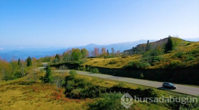 Karadeniz'de yolculuk yeşile dönüyor (Yeşil yol projesi)