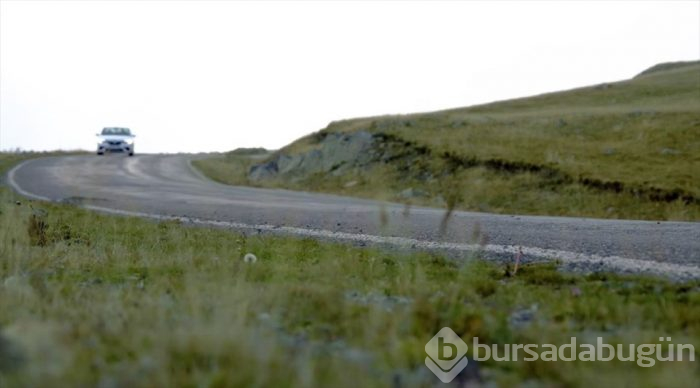 Karadeniz'de yolculuk yeşile dönüyor (Yeşil yol projesi)