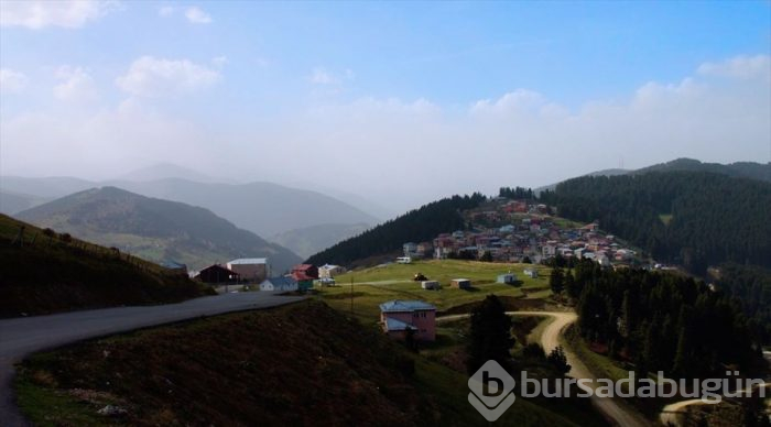 Karadeniz'de yolculuk yeşile dönüyor (Yeşil yol projesi)