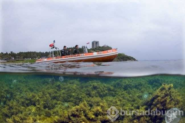 Çanakkale Boğazı'nın batık gemileri dalış turizmine kazandırılıyor
