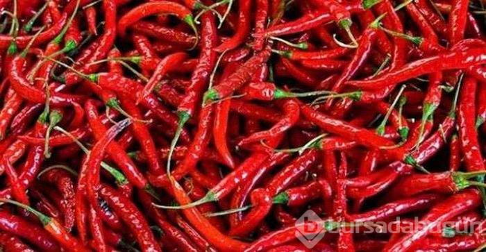 Dünya üzerindeki en sağlıklı 20 besin
