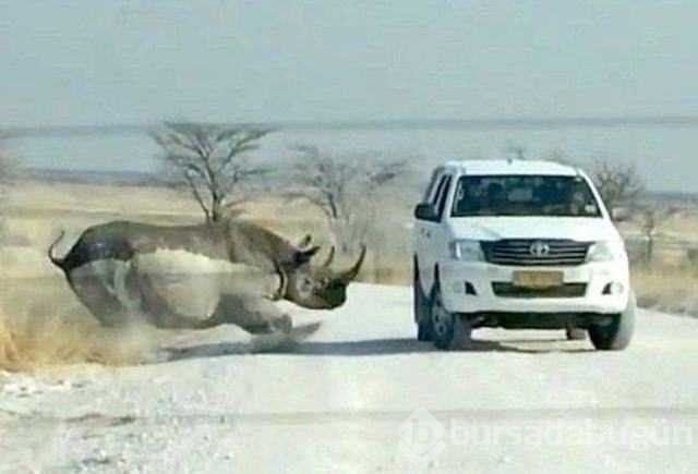 Dünyanın en şansız insanları
