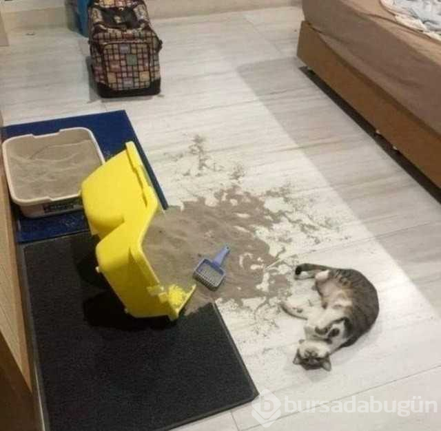 Dünyanın en şansız insanları
