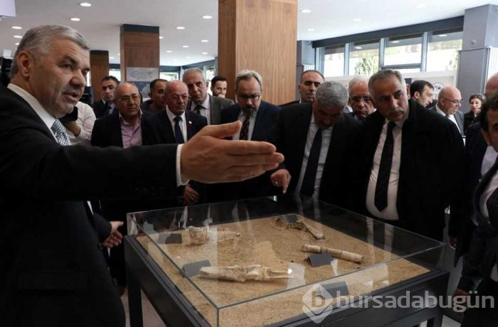 Kayseri'de 7,5 milyon yıllık fosiller sergileniyor
