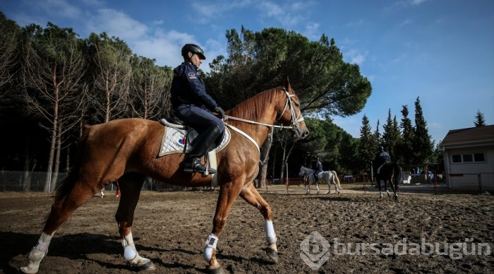 Tarihi Yarımada atlı birliklere emanet
