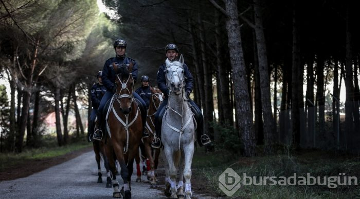 Tarihi Yarımada atlı birliklere emanet

