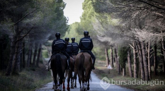 Tarihi Yarımada atlı birliklere emanet
