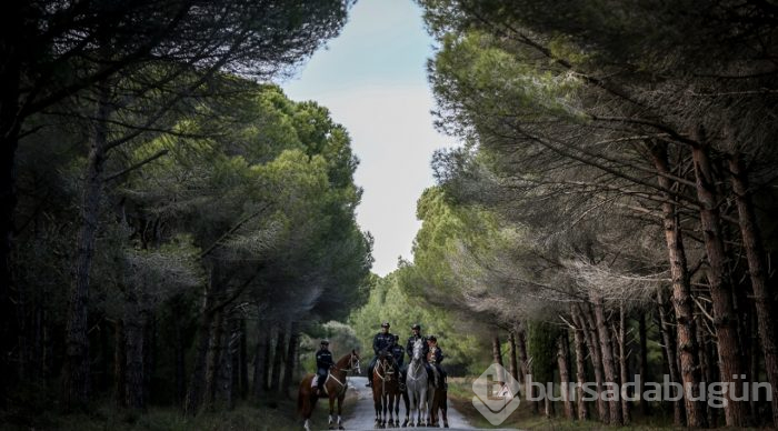 Tarihi Yarımada atlı birliklere emanet
