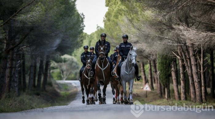Tarihi Yarımada atlı birliklere emanet
