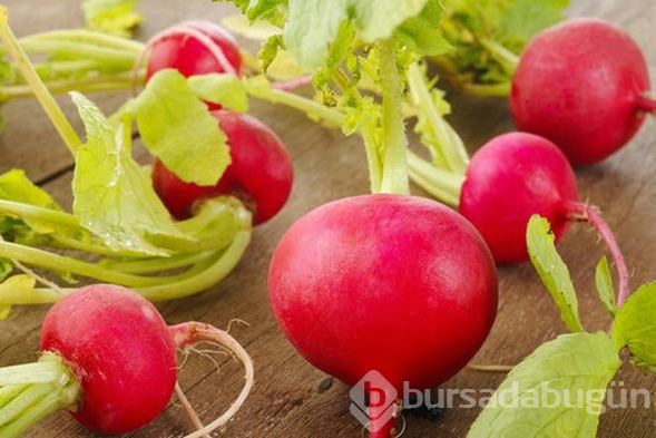 Zayıflamak isteyen turp yesin
