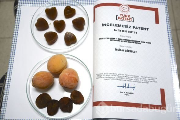 Kayısıdan 'doğal jelibon' üretti: Renklendirici yok, katkı maddesi yok!
