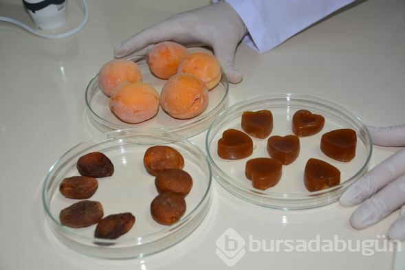 Kayısıdan 'doğal jelibon' üretti: Renklendirici yok, katkı maddesi yok!
