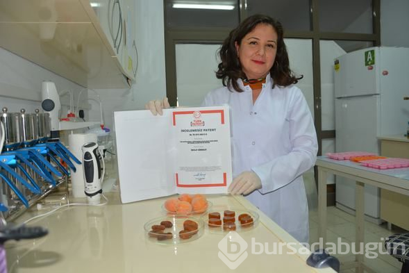 Kayısıdan 'doğal jelibon' üretti: Renklendirici yok, katkı maddesi yok!
