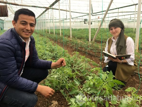 Pancar makinesine kaptırdığı saçları kopan Binnaz, aylar sonra traktör kullandı

